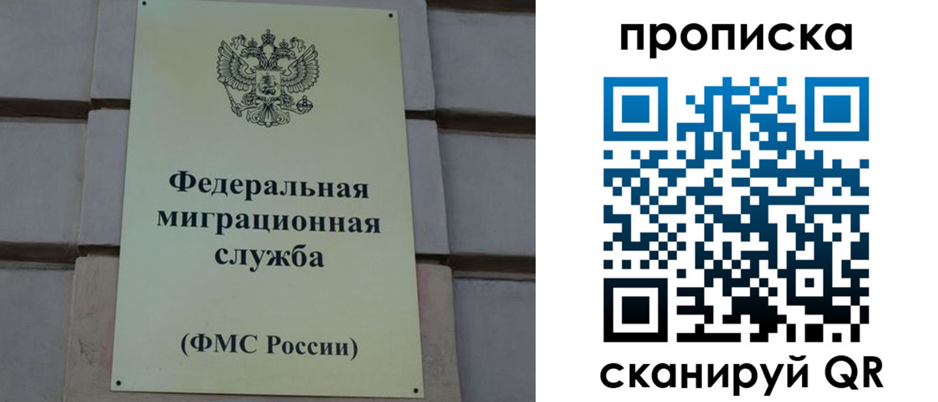 прописка поиск в Балее